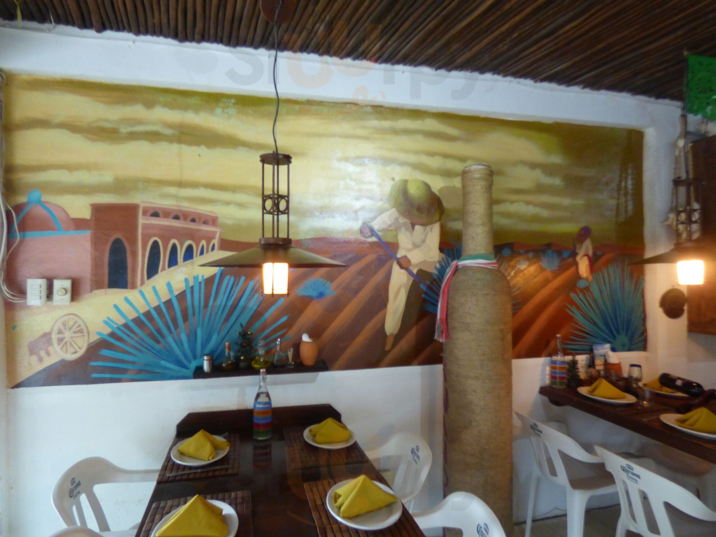 Fernando's 100% Agave